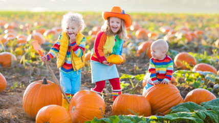 Autumn Frolics: Top Activities for Babies and Toddlers to Enjoy the Season