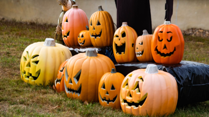 Pumpkin Playtime: Fun Halloween Activities for Toddlers and Parents